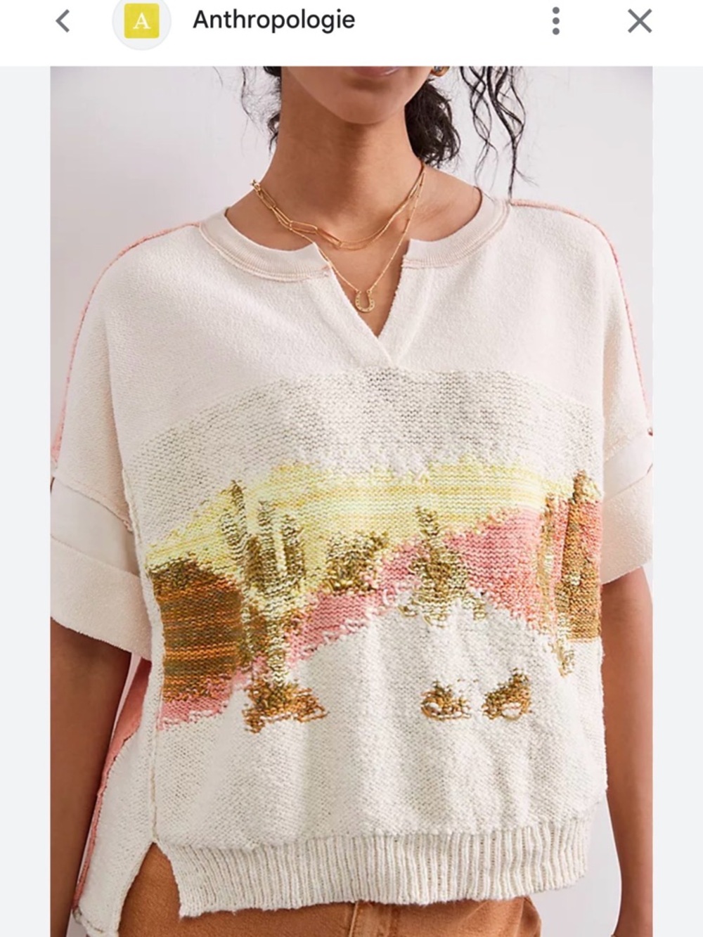 Anthropologie Pilcro Desert Intarsia Sweater Tee